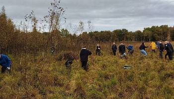Dosenmoor Schülerinnen und Schüler bei einer Expedition im Dosenmoor